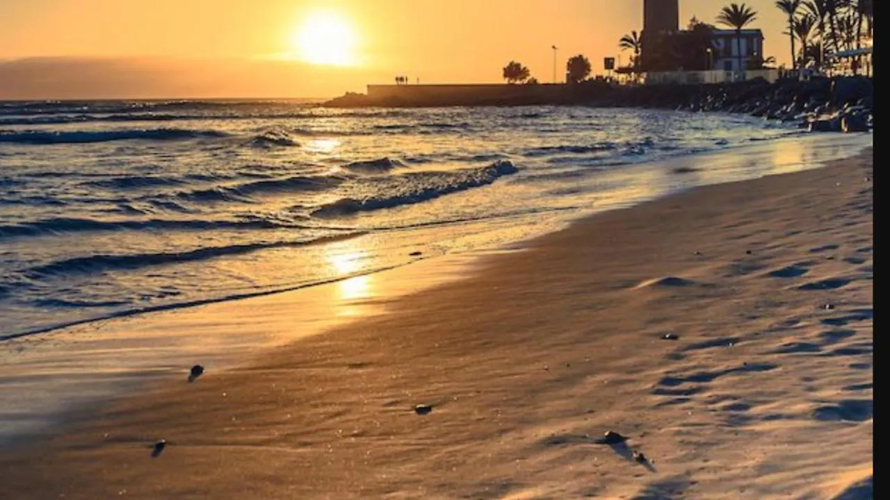 마스팔로마스 El Nido De Los Angeles 아파트 0*,  스페인