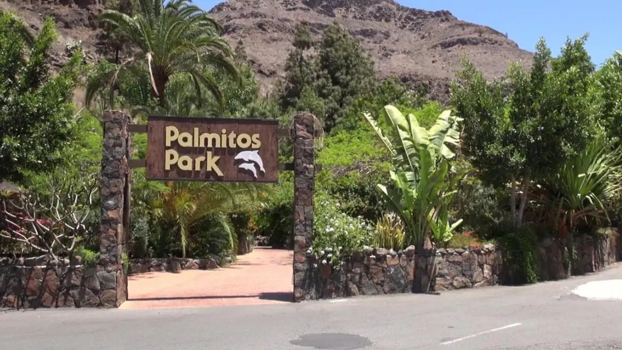 Apartamento El Nido De Los Angeles Maspalomas   Maspalomas (Gran Canaria)
